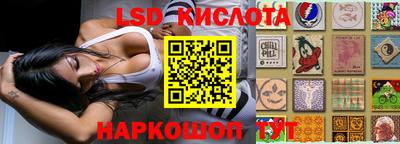 гашик Будённовск