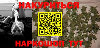 гашик Будённовск